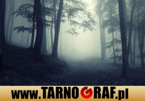 Fototapeta na wymiar - P.H.U. TARNOGRAF - Fabryka Reklamy Tarnobrzeg