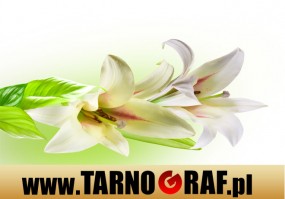 Fototapeta na wymiar - P.H.U. TARNOGRAF - Fabryka Reklamy Tarnobrzeg