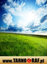 Fototapeta na wymiar - P.H.U. TARNOGRAF - Fabryka Reklamy Tarnobrzeg