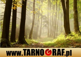 Fototapeta na wymiar - P.H.U. TARNOGRAF - Fabryka Reklamy Tarnobrzeg