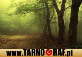 Fototapeta na wymiar - P.H.U. TARNOGRAF - Fabryka Reklamy Tarnobrzeg