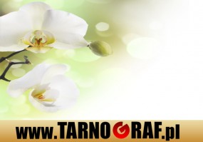 Fototapeta na wymiar - P.H.U. TARNOGRAF - Fabryka Reklamy Tarnobrzeg