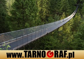 Fototapeta na wymiar - P.H.U. TARNOGRAF - Fabryka Reklamy Tarnobrzeg