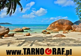 Fototapeta na wymiar - P.H.U. TARNOGRAF - Fabryka Reklamy Tarnobrzeg