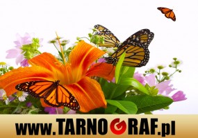 Fototapeta na wymiar - P.H.U. TARNOGRAF - Fabryka Reklamy Tarnobrzeg