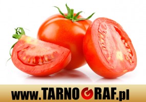 Fototapeta na wymiar - P.H.U. TARNOGRAF - Fabryka Reklamy Tarnobrzeg