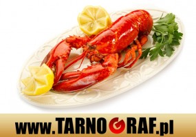 Fototapeta na wymiar - P.H.U. TARNOGRAF - Fabryka Reklamy Tarnobrzeg