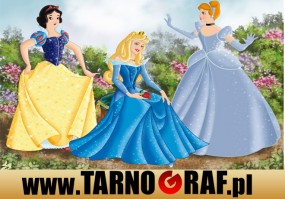 Fototapeta na wymiar - P.H.U. TARNOGRAF - Fabryka Reklamy Tarnobrzeg