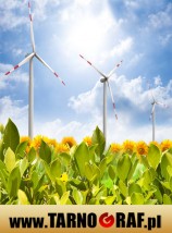 Fototapeta na wymiar - P.H.U. TARNOGRAF - Fabryka Reklamy Tarnobrzeg