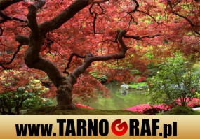 Fototapeta na wymiar - P.H.U. TARNOGRAF - Fabryka Reklamy Tarnobrzeg