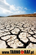 Fototapeta na wymiar - P.H.U. TARNOGRAF - Fabryka Reklamy Tarnobrzeg