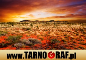 Fototapeta na wymiar - P.H.U. TARNOGRAF - Fabryka Reklamy Tarnobrzeg