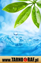 Fototapeta na wymiar - P.H.U. TARNOGRAF - Fabryka Reklamy Tarnobrzeg