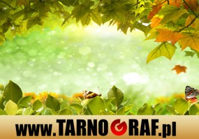 Fototapeta na wymiar - P.H.U. TARNOGRAF - Fabryka Reklamy Tarnobrzeg