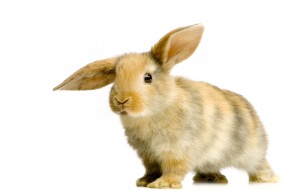 Fototapeta na wymiar - P.H.U. TARNOGRAF - Fabryka Reklamy Tarnobrzeg