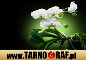 Fototapeta na wymiar - P.H.U. TARNOGRAF - Fabryka Reklamy Tarnobrzeg