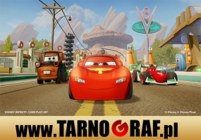 Fototapeta na wymiar - P.H.U. TARNOGRAF - Fabryka Reklamy Tarnobrzeg