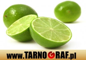 Fototapeta na wymiar - P.H.U. TARNOGRAF - Fabryka Reklamy Tarnobrzeg