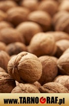 Fototapeta na wymiar - P.H.U. TARNOGRAF - Fabryka Reklamy Tarnobrzeg