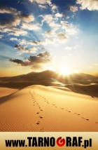 Fototapeta na wymiar - P.H.U. TARNOGRAF - Fabryka Reklamy Tarnobrzeg