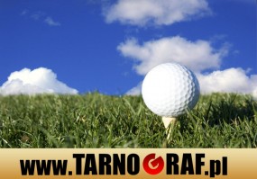 Fototapeta na wymiar - P.H.U. TARNOGRAF - Fabryka Reklamy Tarnobrzeg