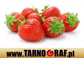 Fototapeta na wymiar - P.H.U. TARNOGRAF - Fabryka Reklamy Tarnobrzeg