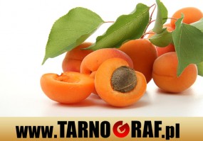 Fototapeta na wymiar - P.H.U. TARNOGRAF - Fabryka Reklamy Tarnobrzeg