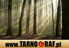 Fototapeta na wymiar - P.H.U. TARNOGRAF - Fabryka Reklamy Tarnobrzeg