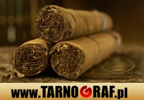 Fototapeta na wymiar - P.H.U. TARNOGRAF - Fabryka Reklamy Tarnobrzeg