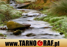 Fototapeta na wymiar - P.H.U. TARNOGRAF - Fabryka Reklamy Tarnobrzeg