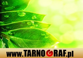 Fototapeta na wymiar - P.H.U. TARNOGRAF - Fabryka Reklamy Tarnobrzeg