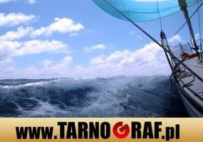 Fototapeta na wymiar - P.H.U. TARNOGRAF - Fabryka Reklamy Tarnobrzeg