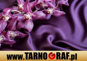 Fototapeta na wymiar - P.H.U. TARNOGRAF - Fabryka Reklamy Tarnobrzeg