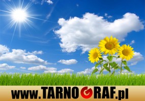 Fototapeta na wymiar - P.H.U. TARNOGRAF - Fabryka Reklamy Tarnobrzeg
