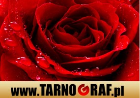 Fototapeta na wymiar - P.H.U. TARNOGRAF - Fabryka Reklamy Tarnobrzeg