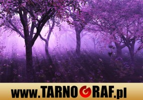 Fototapeta na wymiar - P.H.U. TARNOGRAF - Fabryka Reklamy Tarnobrzeg