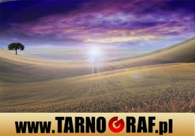 Fototapeta na wymiar - P.H.U. TARNOGRAF - Fabryka Reklamy Tarnobrzeg