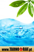 Fototapeta na wymiar - P.H.U. TARNOGRAF - Fabryka Reklamy Tarnobrzeg