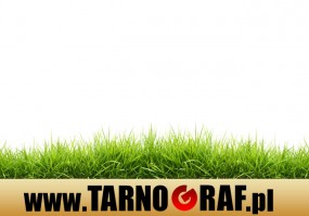 Fototapeta na wymiar - P.H.U. TARNOGRAF - Fabryka Reklamy Tarnobrzeg