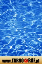 Fototapeta na wymiar - P.H.U. TARNOGRAF - Fabryka Reklamy Tarnobrzeg