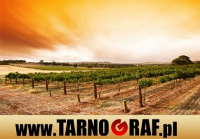 Fototapeta na wymiar - P.H.U. TARNOGRAF - Fabryka Reklamy Tarnobrzeg