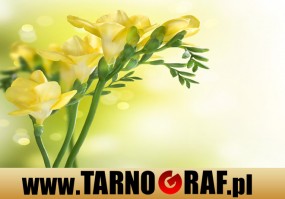 Fototapeta na wymiar - P.H.U. TARNOGRAF - Fabryka Reklamy Tarnobrzeg