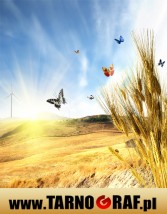 Fototapeta na wymiar - P.H.U. TARNOGRAF - Fabryka Reklamy Tarnobrzeg