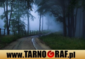 Fototapeta na wymiar - P.H.U. TARNOGRAF - Fabryka Reklamy Tarnobrzeg