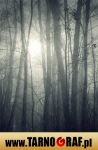 Fototapeta na wymiar - P.H.U. TARNOGRAF - Fabryka Reklamy Tarnobrzeg