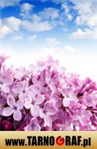 Fototapeta na wymiar - P.H.U. TARNOGRAF - Fabryka Reklamy Tarnobrzeg