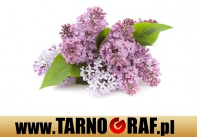 Fototapeta na wymiar - P.H.U. TARNOGRAF - Fabryka Reklamy Tarnobrzeg