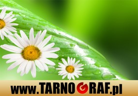 Fototapeta na wymiar - P.H.U. TARNOGRAF - Fabryka Reklamy Tarnobrzeg