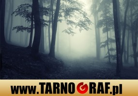 Fototapeta na wymiar - P.H.U. TARNOGRAF - Fabryka Reklamy Tarnobrzeg