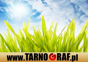 Fototapeta na wymiar - P.H.U. TARNOGRAF - Fabryka Reklamy Tarnobrzeg